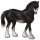 Cheval de trait Percheron Gris Souris