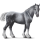 Draft horse Percheron Light Gray