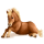 Pony Shetlander Zwart