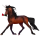 Riding unicorn Mustang Dark Bay