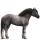 Kaltblut Percheron Apfelschimmel