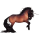 Einhorn-Reitpferd Araber Apfelschimmel