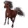 Riding Horse Appaloosa Chestnut Blanket 