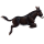 Donkey Standard Donkey Black