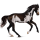 Reitpferd Lusitano Hellgrau