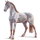 Reitpferd Achal-Tekkiner Palomino