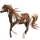 Jezdecký kůň American paint horse Hnědák Tobiano