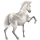 Reitpferd Appaloosa Braunschecke