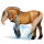 Poney Fjord Brunblakk
