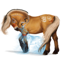 Poney Fjord Brunblakk