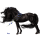 Riding Horse Friesian Black