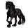 Riding pegasus Vanner Black
