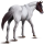 Reitpferd Irisches Sportpferd Rappe