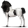 Jezdecký kůň American paint horse Černý ryzák Tovero