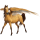 Pegaz wierzchowy Appaloosa Bułana derka