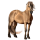 Pony Fjord Brunblakk