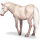 Poník Shetlandský pony Hnědák