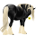 Tažný kůň Drum Horse Hnědák