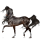 Riding unicorn Marwari Dark Bay