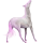 Reitpferd Irisches Sportpferd Hellgrau