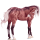 Koń wierzchowy Quarter Horse Jasnokasztanowata