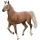 Reitpferd Curly Horse Fuchs mit heller Mähne