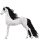 Riding Horse Arabian Horse Light Gray