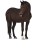 Poník Novofoundlandský pony Hnědák