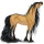 Reitpferd Mustang Falbe