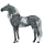 Riding pegasus Mustang Dun