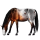 Reitpferd Paint Horse Brauner mit Tobiano-Scheckung