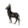 Donkey Standard Donkey Black