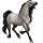 Draft horse Drum Horse Black Tovero