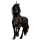 Riding unicorn Friesian Black
