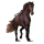 Reitpferd Mustang Roan