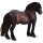 Cheval de trait Drum Horse Bai