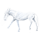 Âne Âne commun Blanc