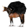Winged riding unicorn Thoroughbred Bay