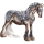 Cheval de trait Percheron Gris Pommelé