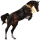 Reitpferd Hannoveraner Dunkelbrauner