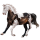 Riding Horse Marwari Chestnut Tobiano