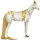 Riding unicorn Marwari Cremello Tobiano