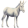 Einhorn-Esel Hausesel Rappe