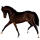 Pony Belgian Riding Pony Liver chestnut