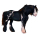 Draft horse Drum Horse Black Tovero