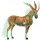 Âne licorne Âne commun Noir