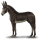 Winged donkey unicorn Poitou Donkey Dark brown