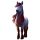 Poney Français de Selle Rouan
