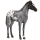 Cheval de selle Paint Horse Pie Tobiano Alezan