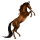 Reitpferd Araber Rotbrauner